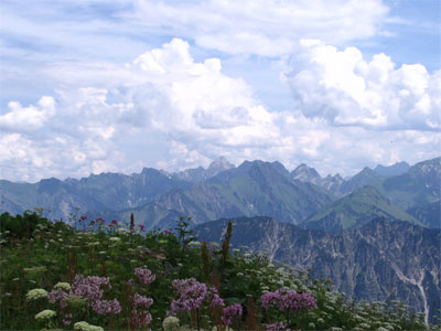 Hochvogel in Sicht