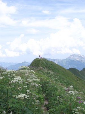 Passage vom Fellhorn zum Söllereck