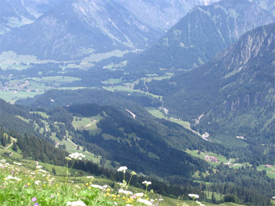 Blick aif Schwand und Hochleite von oben. 