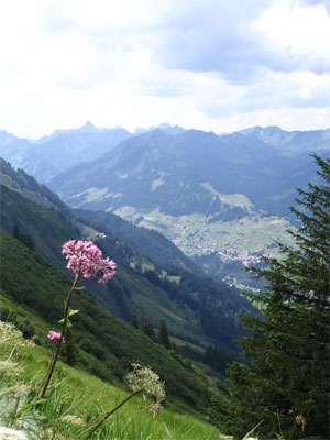 Blick ins Kleine Walsertal