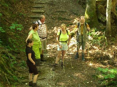 Romantisches Wegelein bergauf und bergab