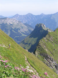 Im Abstieg vom Laufbachereck