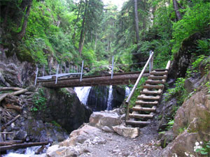 Tobelweg Gaisalpe/Reichenbach