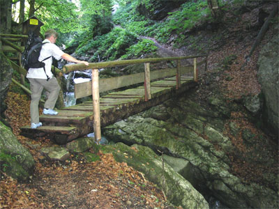 Steg im Traufbach-Tobel