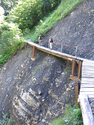 Brücke am Seil